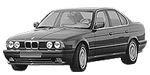 BMW E34 B245B Fault Code